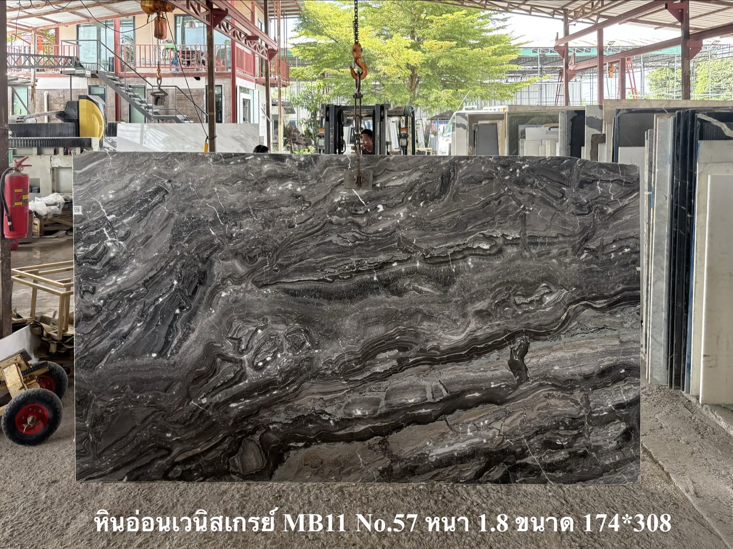 ./ProdImg/cover/MB11 เวนิสเกรย์/20250922112906.jpg